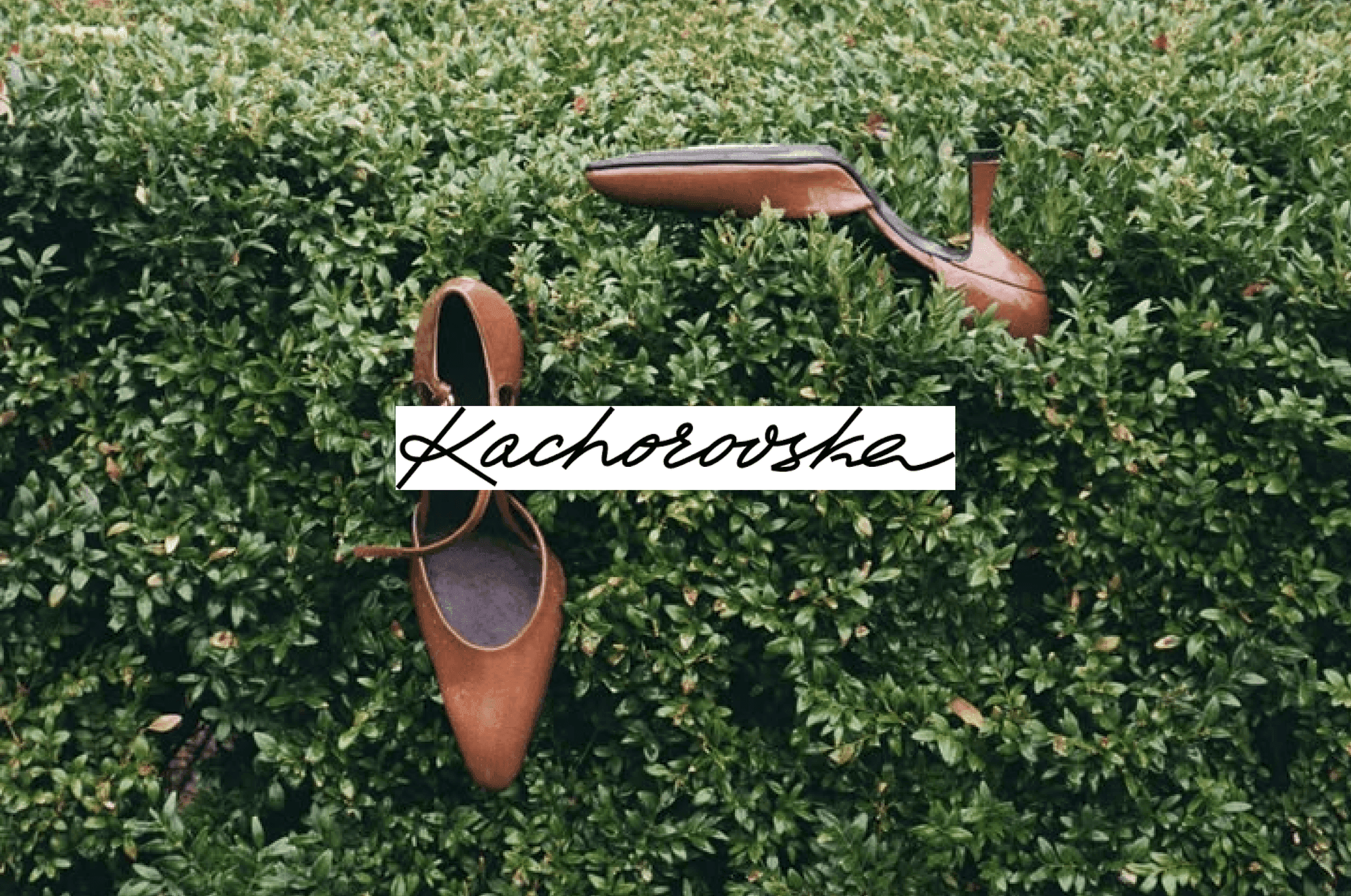 Kachorovska